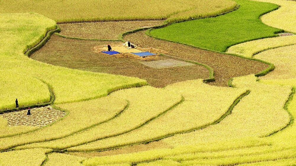 Viet Nam