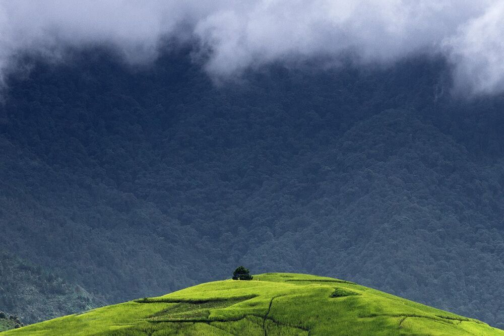 Viet Nam