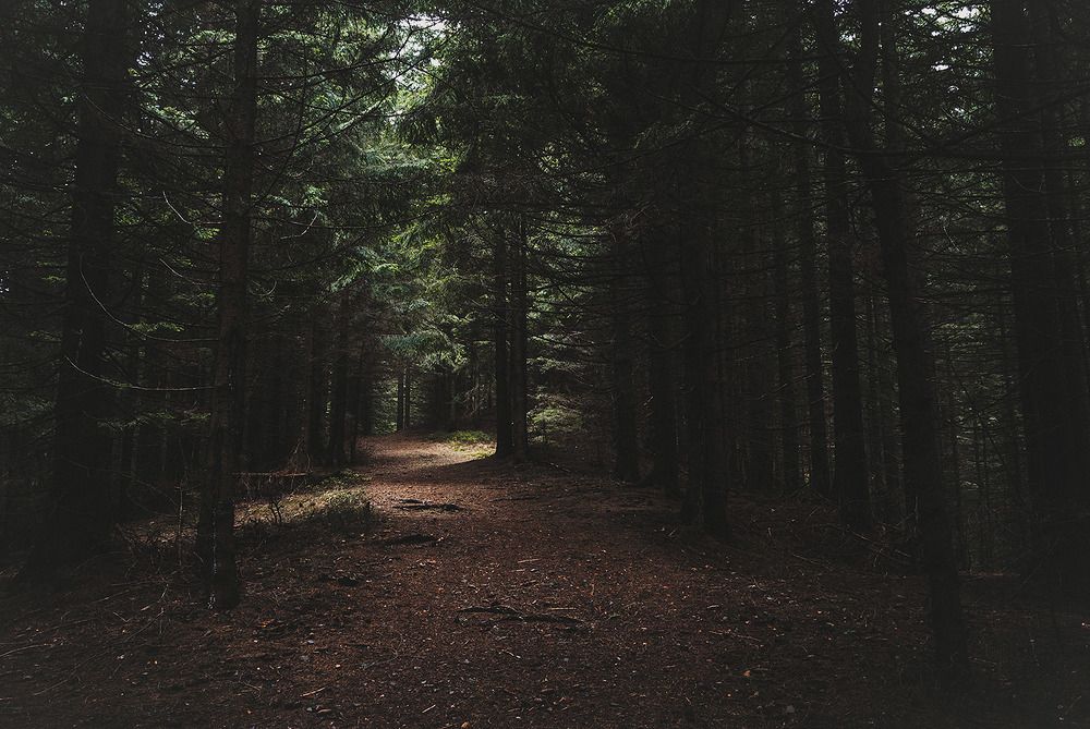 _