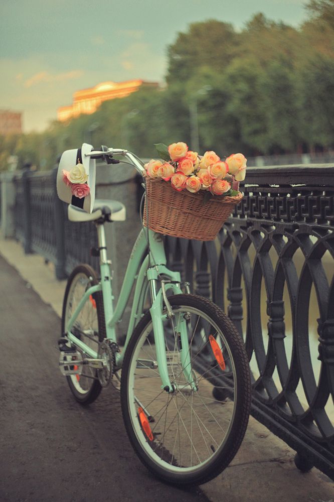 Summer joy