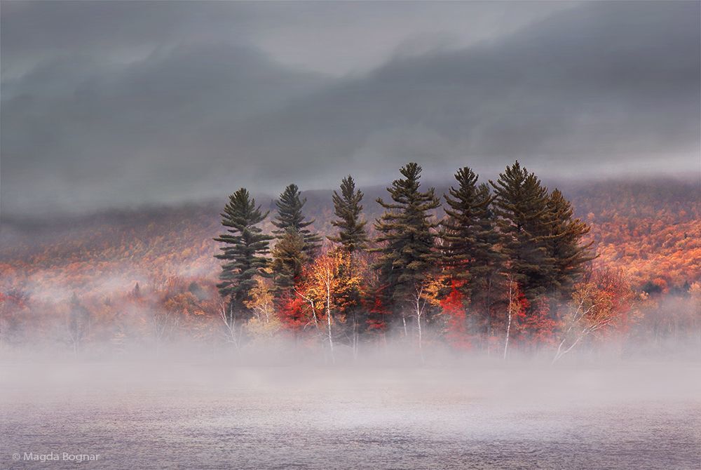 Foggy Lake