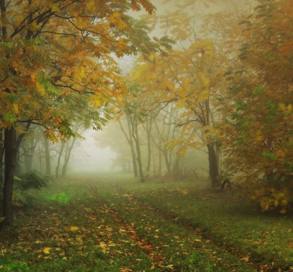 Осенние бродилки