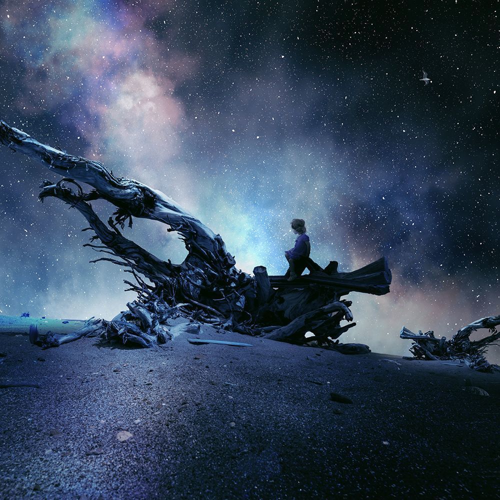 The unrecoverable dreamer