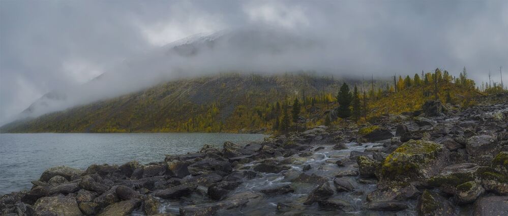 Мульта. Шумы.