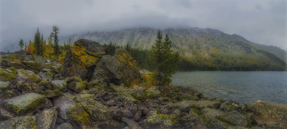 Мульта. Шумы.