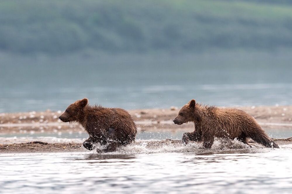Бегаем по воде