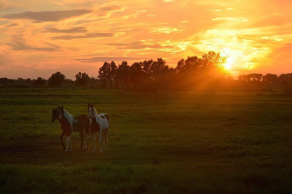 Sunset in Noordschote.