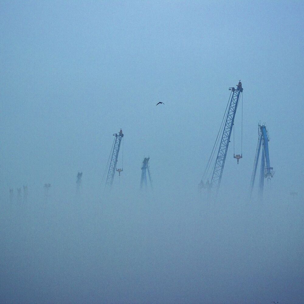 Roam in fog