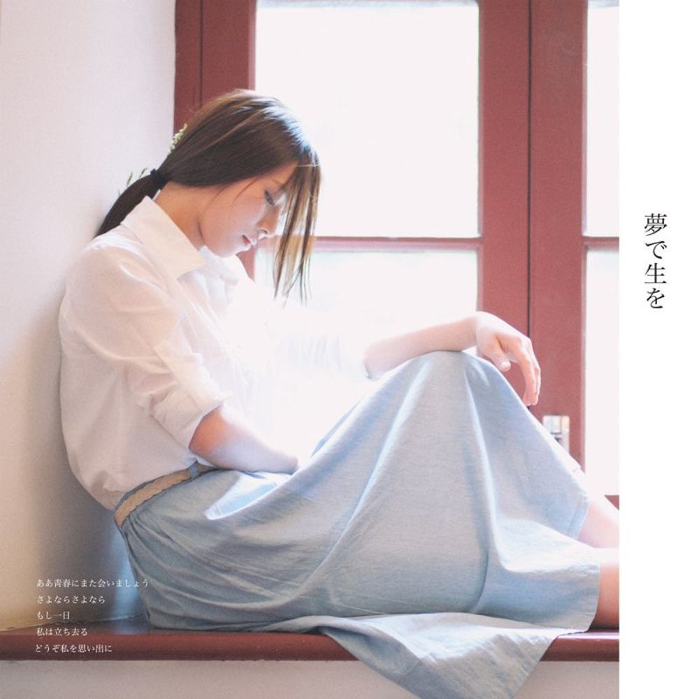 照片