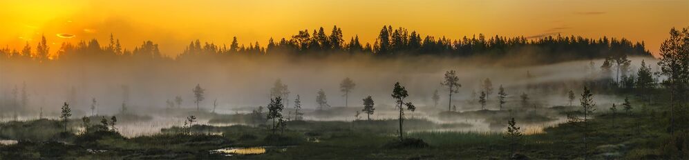 На заре.