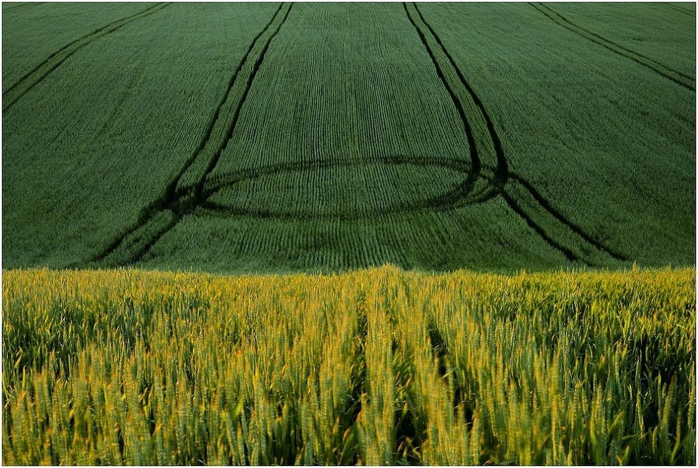 UFO
