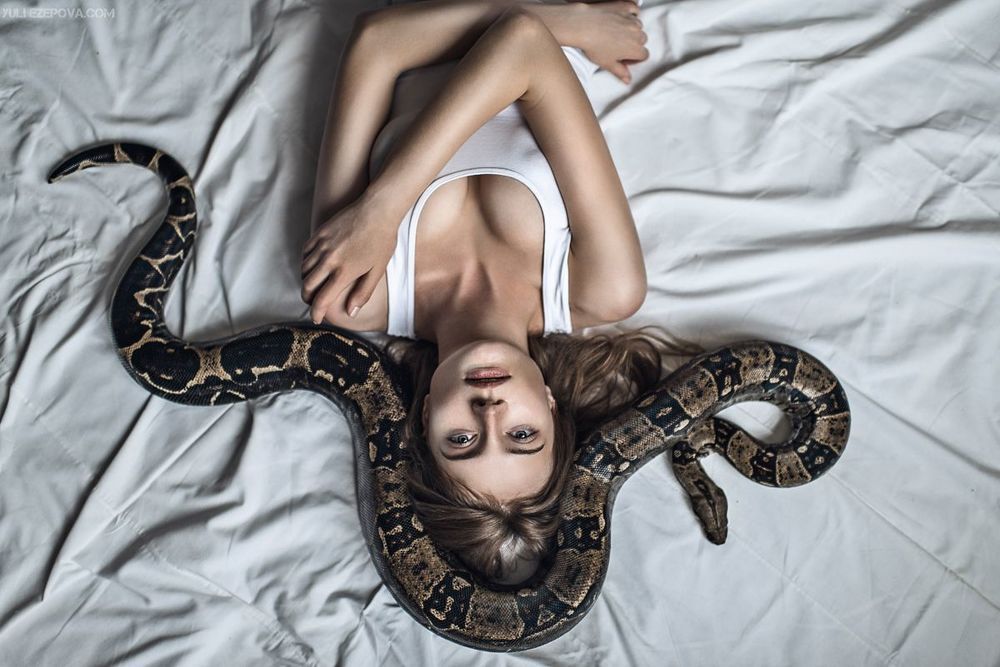 Оксана и удавы