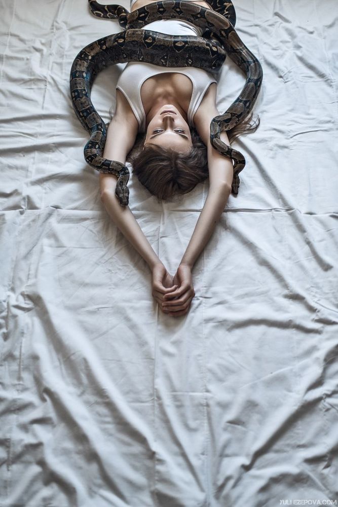 Оксана и удавы