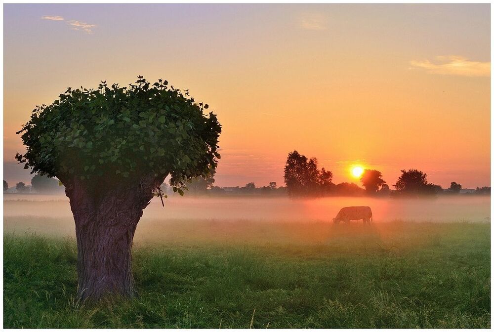Very early this morning.