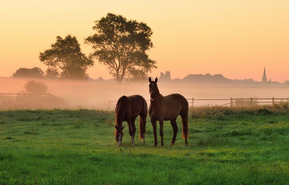 Very early this morning.