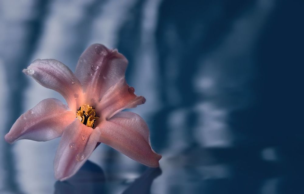 Magic Light