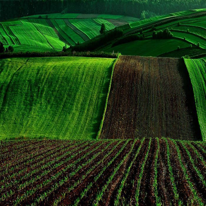 Landscapes_5
