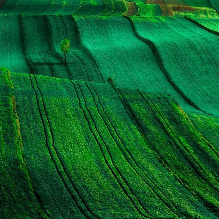 Landscapes_6