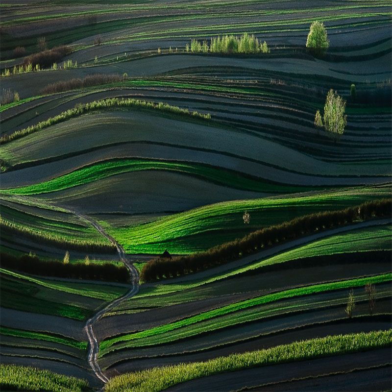 Landscapes_7