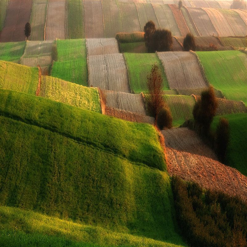 Landscapes_8