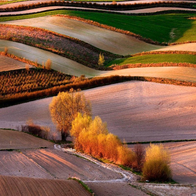 Landscapes_9