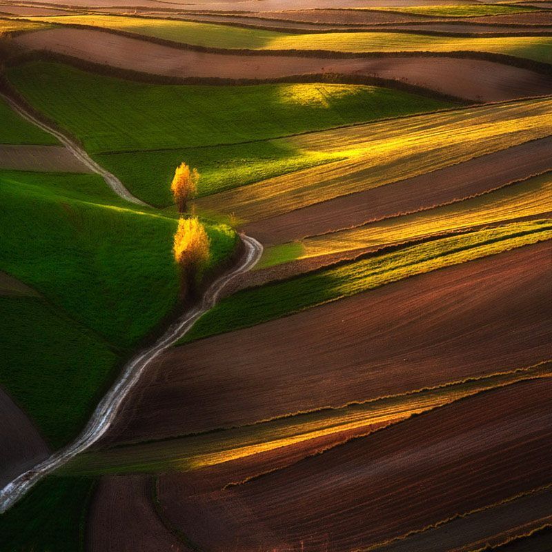 Landscapes_10