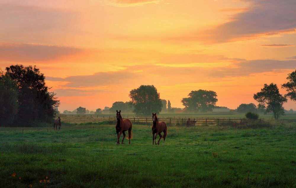 A colorful morning.