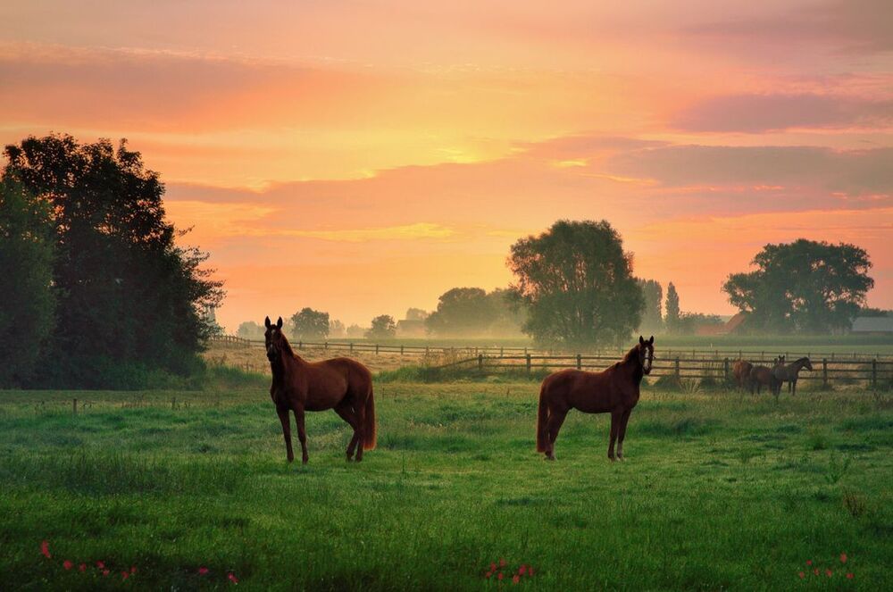 A colorful morning.