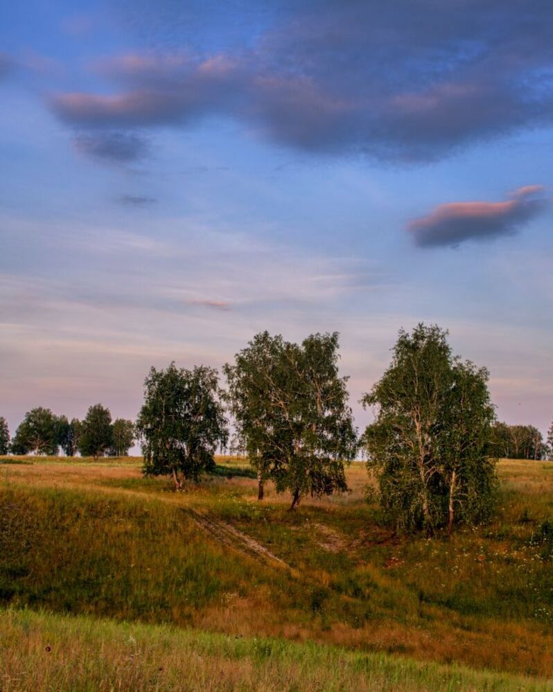 Сухарыш