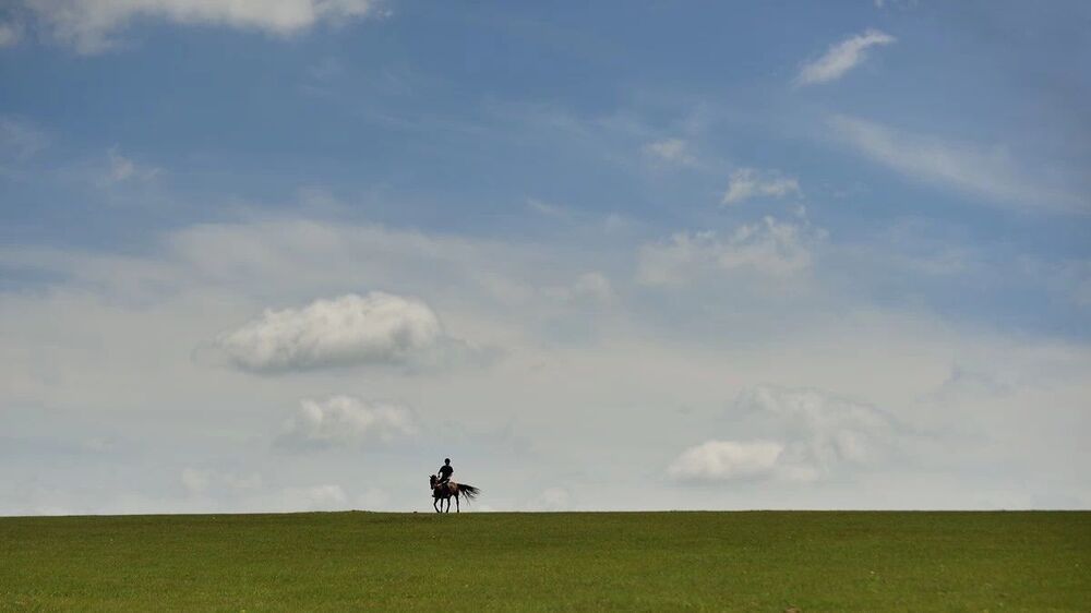 horse
