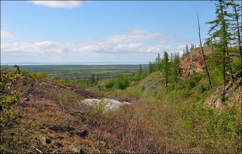 Летние зарисовки