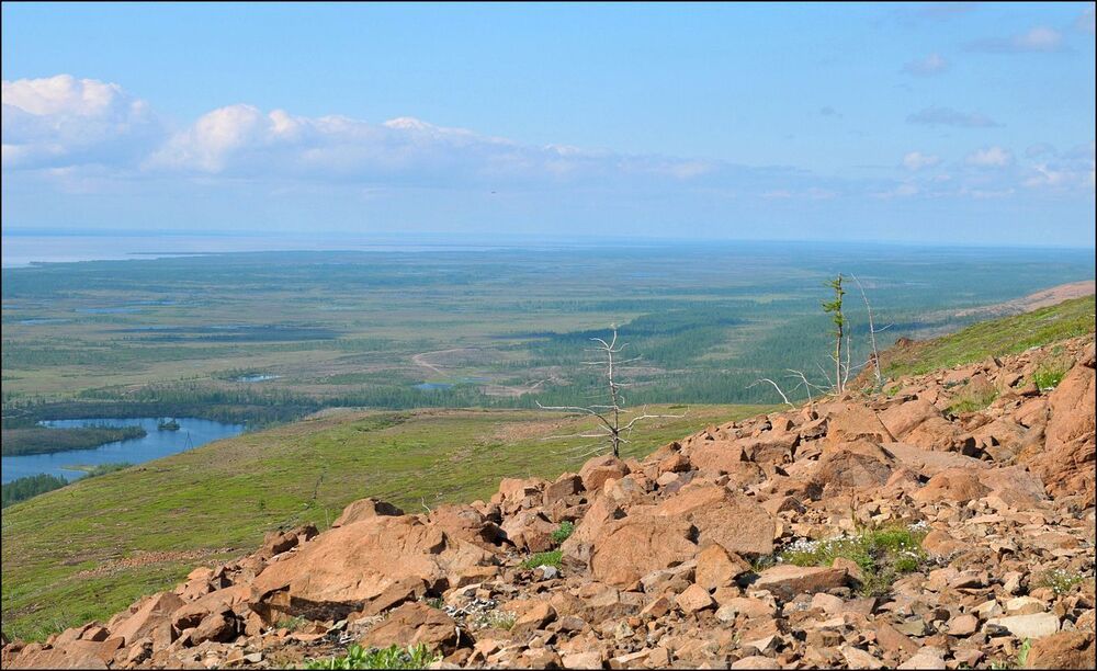 Летние зарисовки