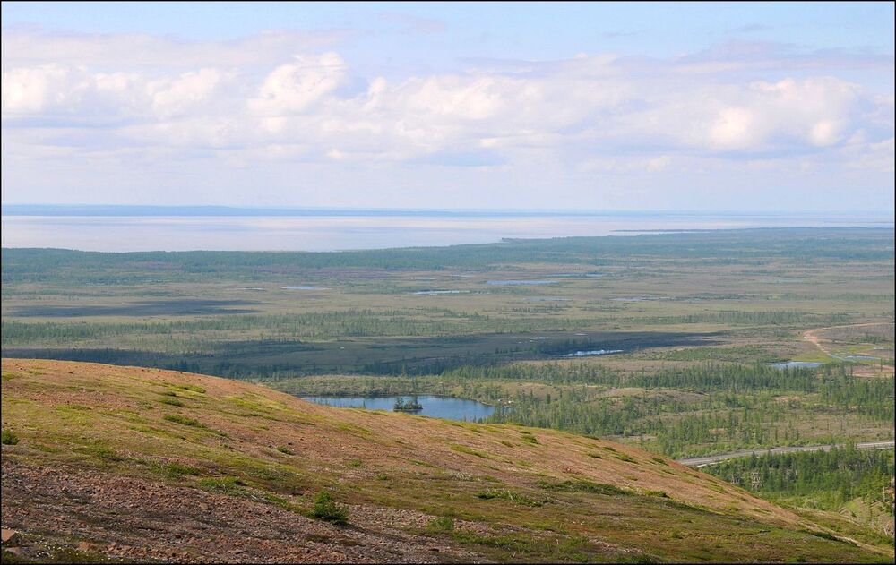 Летние зарисовки