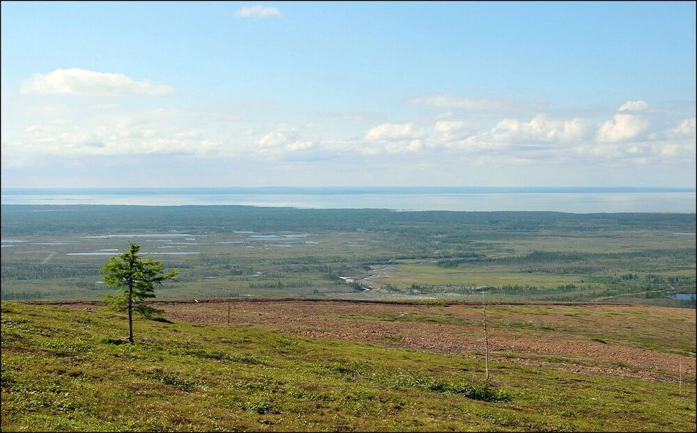 Летние зарисовки