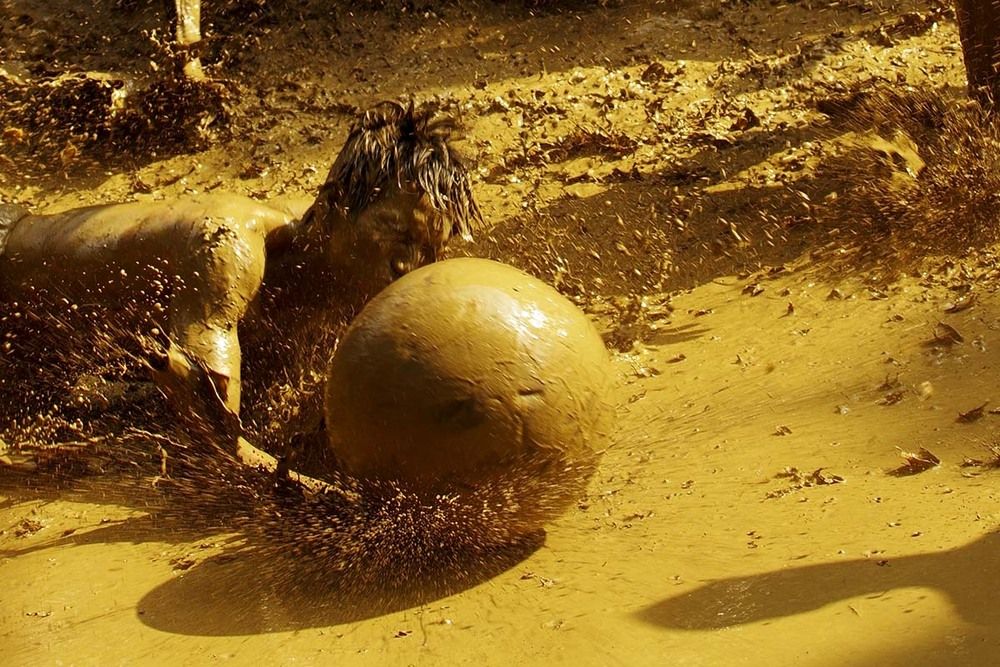 Bac Giang province's traditional all-male mud wrestling competition