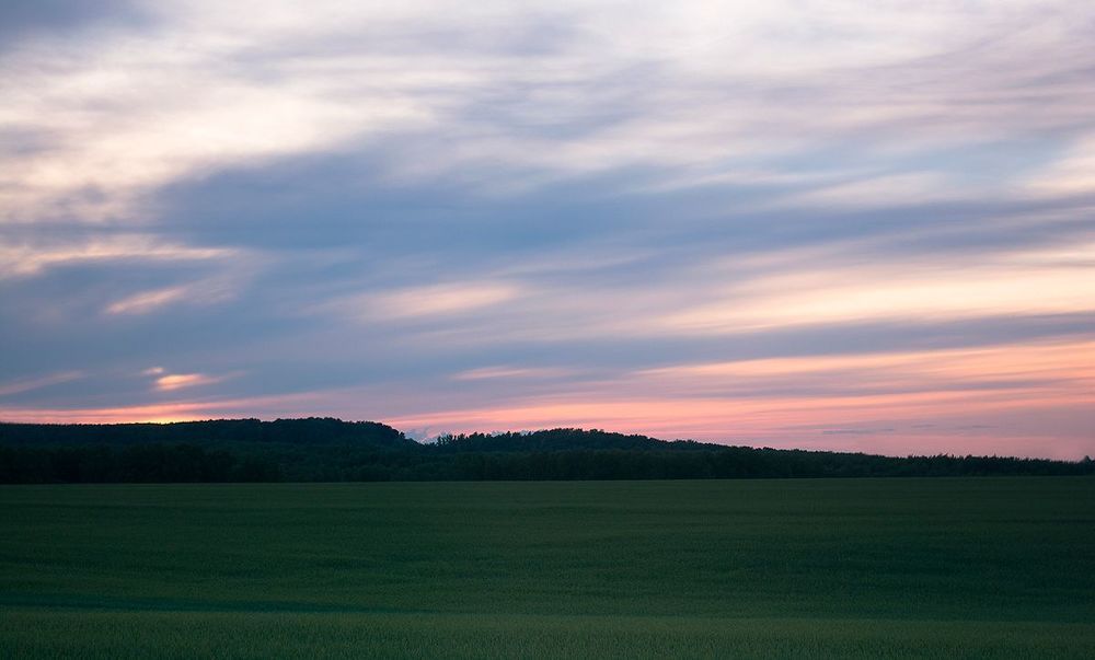 Fields