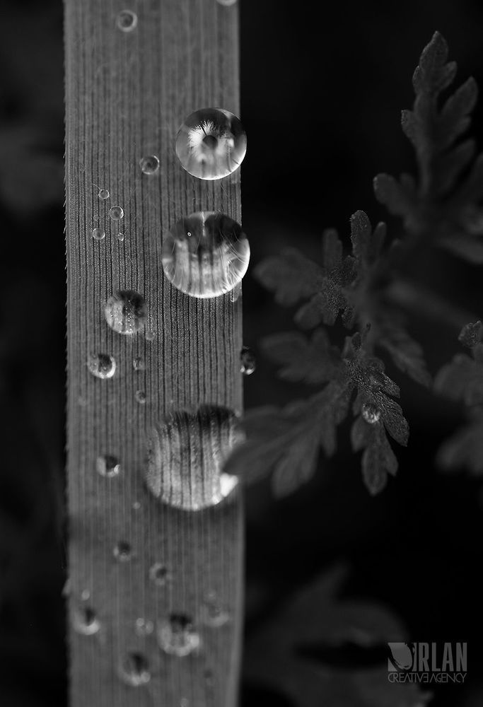 Photo 573660