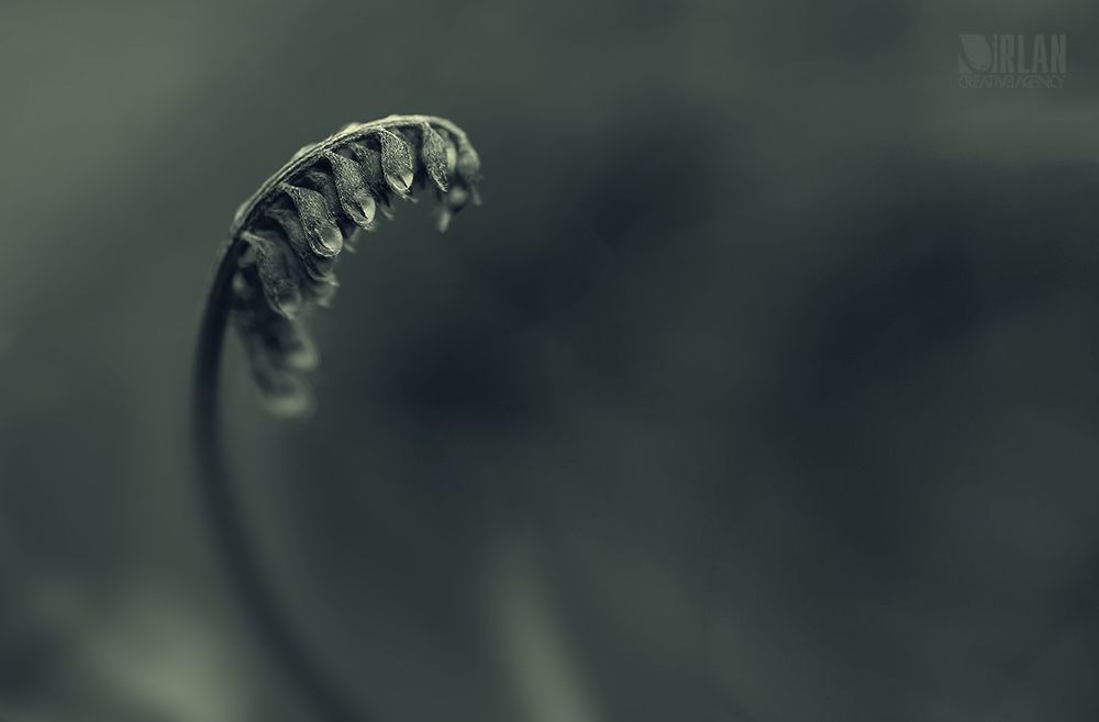 Photo 573661