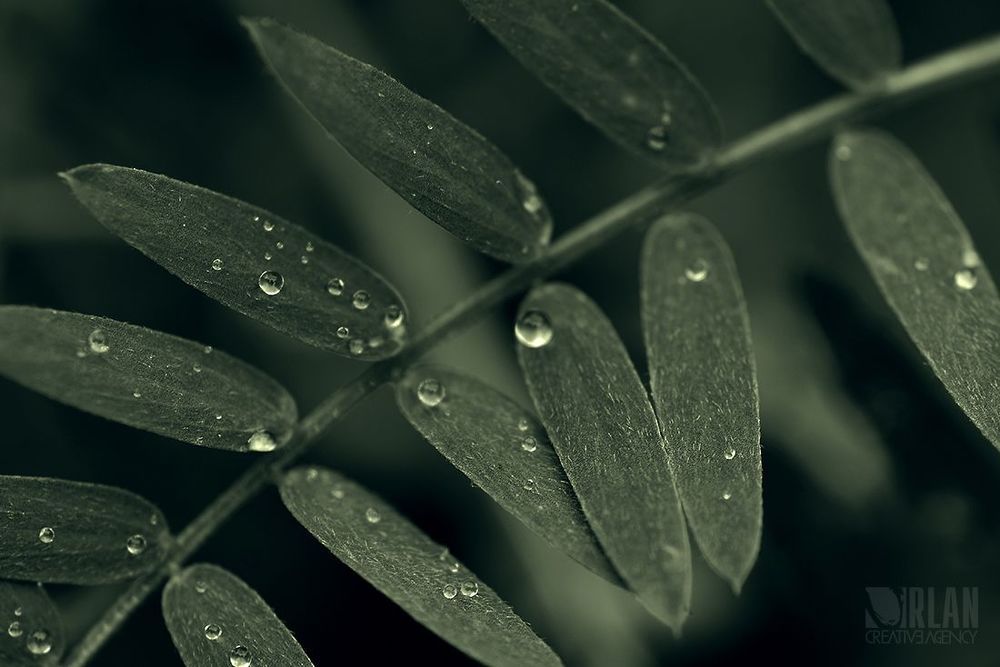 Photo 573662