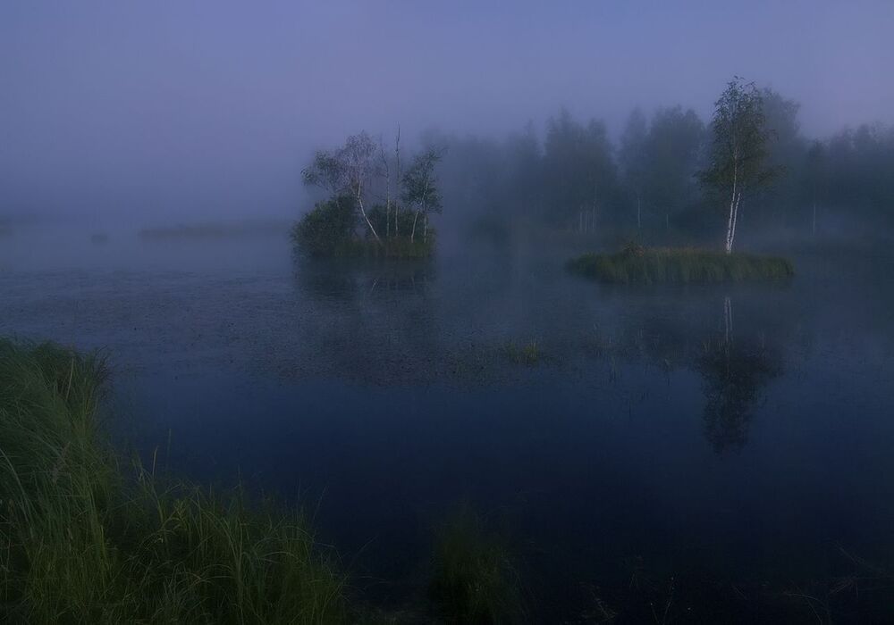Одна июльская ночь