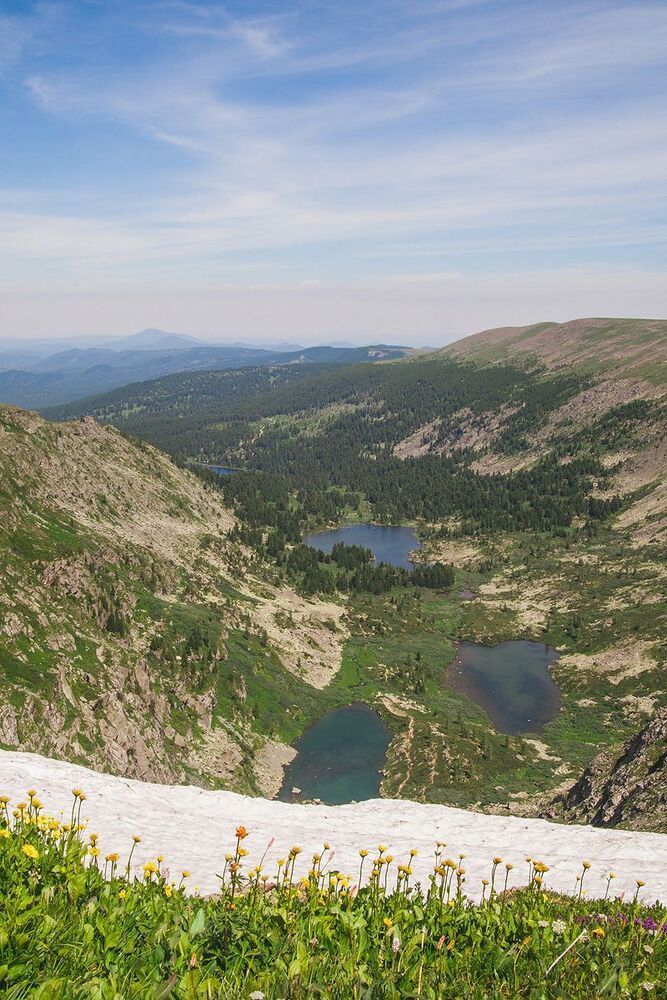 Altai