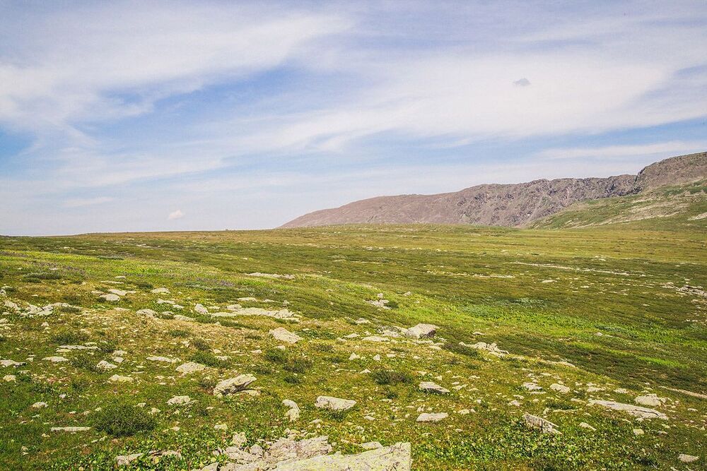 Altai