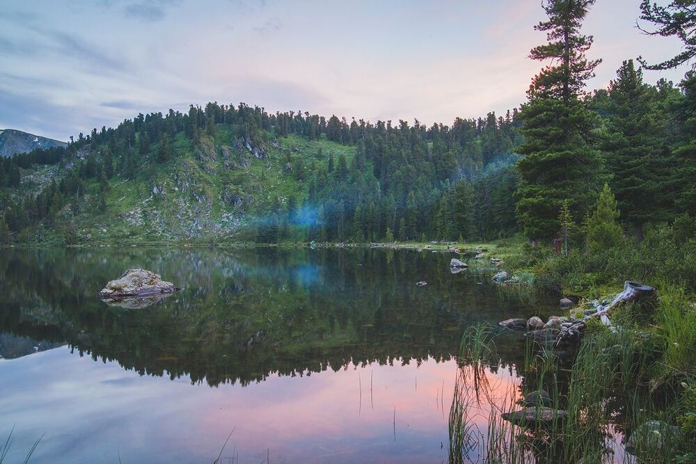 Altai