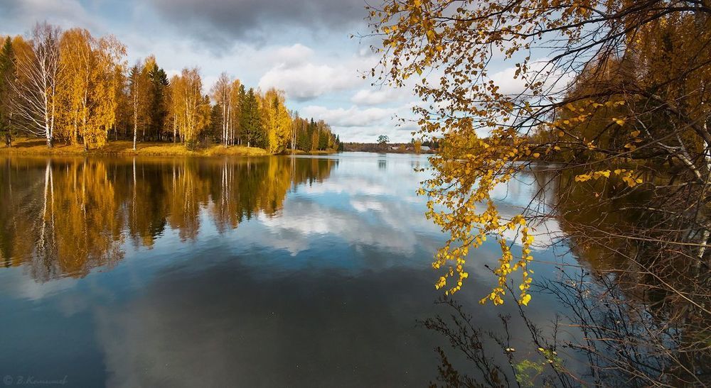 Окунулись в осень...