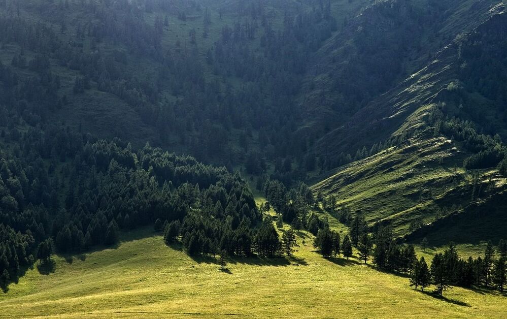 Алтайские зарисовки.