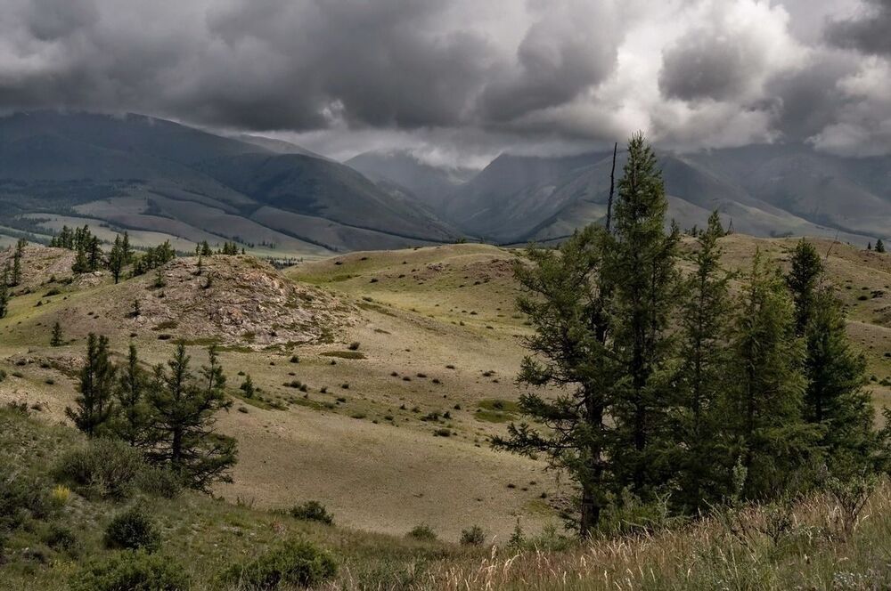 Алтайские зарисовки.