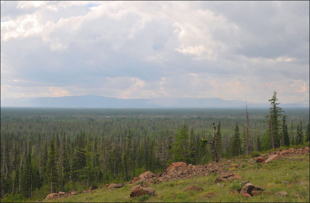 На Таймыре