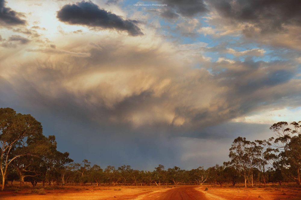 "Walgett, Australia", By Liya Mirzaeva