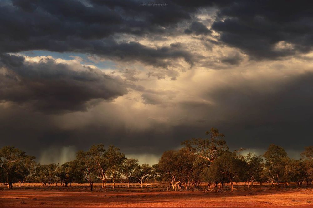 "Walgett, Australia", By Liya Mirzaeva