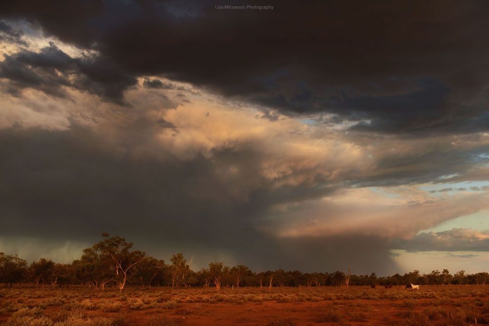 "Walgett, Australia", By Liya Mirzaeva